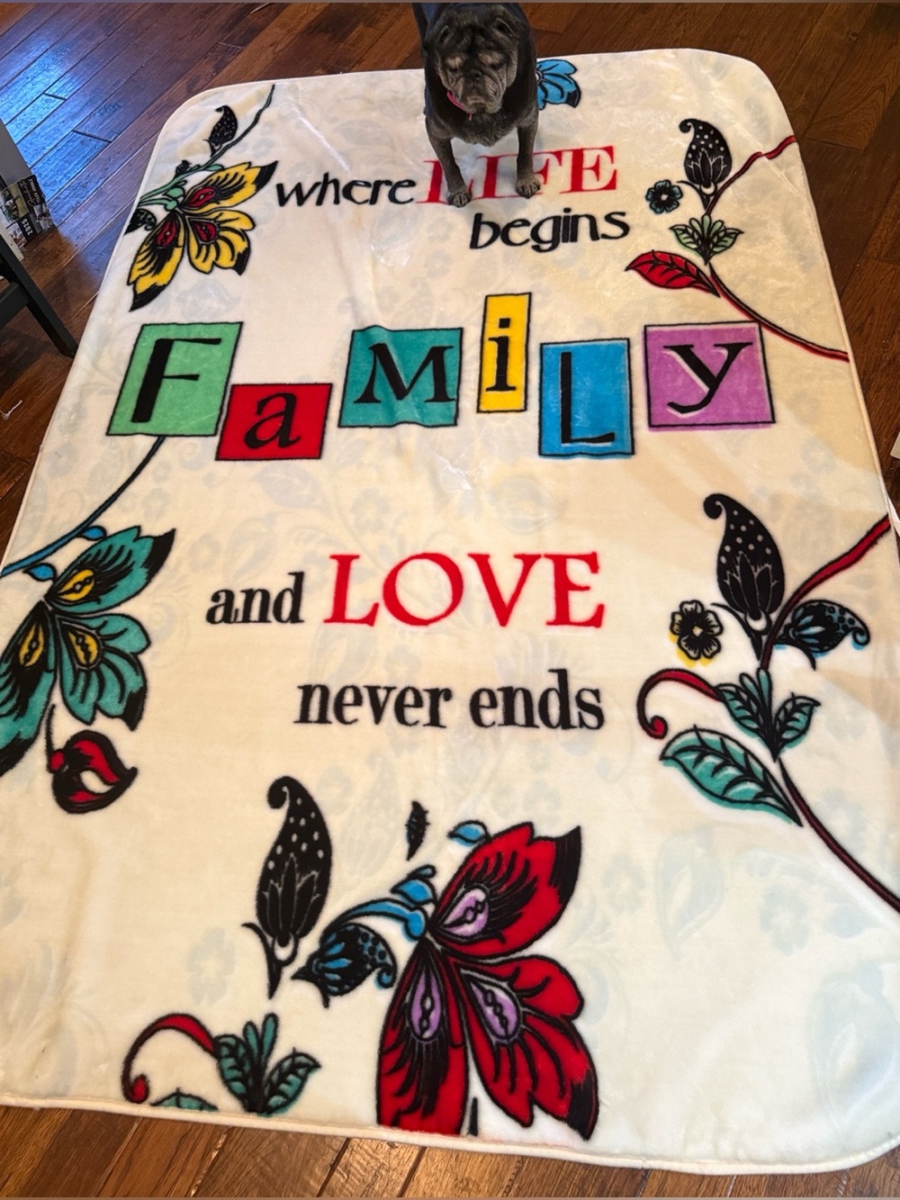Source Unknown Family & Love Inspirational Fleece Throw - Pug not included
